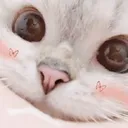 pls
