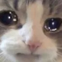 sad