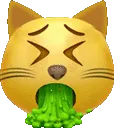 iiCatVomit