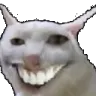 catlol