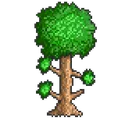 Terraria