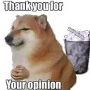 your_opinion