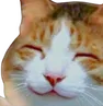 cat_smile
