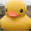 wat_duck wat_duck
