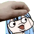 PETTHESHAMPOO