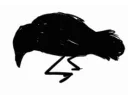 CROWKICK