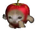 capple_run