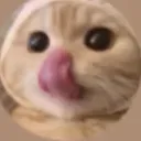 kit