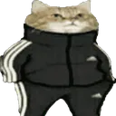 catrussian