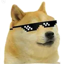 dogecool