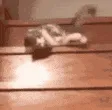 SClazy