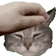 CharliePat