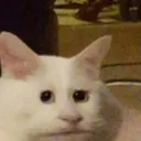 shob