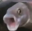 fishgasp