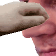 patnose