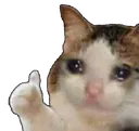 sadcathumbsup