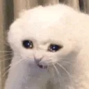 pure_pain