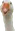 goosepeek2