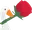 gooserose2 gooserose2