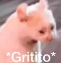 gritito