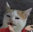 wth