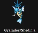 sheddos