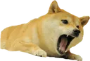 Doge2 doge2 Discord Emoji