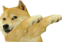 Doge1