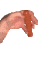 glizzyninja