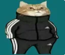 ss