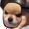 RickieeFake