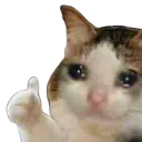 sadcatthumb
