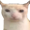 CatSemiCursedHelo