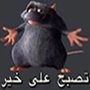 rattus