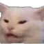 Cat1 cat1 Discord Emoji