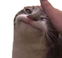 ch_petting Discord emoji