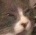 ch_sus Discord emoji