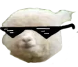 pana