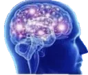 Brainy