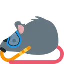 rat_diving_mask