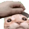 eft_gooderusec