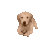 doggoarrive