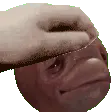MeatPat MeatPat