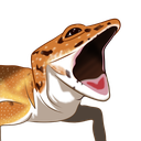 YELL Discord emoji