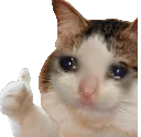 m_ok_bruh