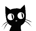 blackcat blackcat