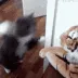 catPunch