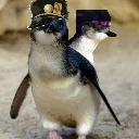dancepenguins