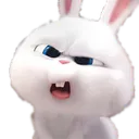 snowball_what