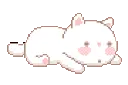 sleepykitty